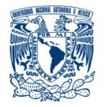 unam